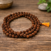5 Mukhi Rudraksha Mala