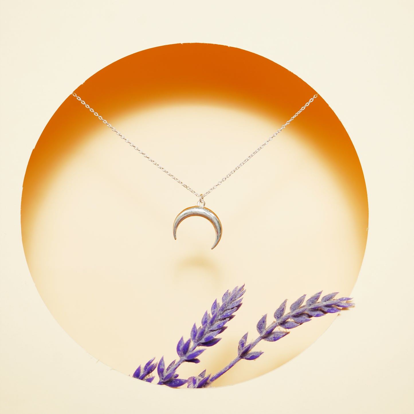 Lunar Charm – 925 Sterling Silver Crescent Necklace